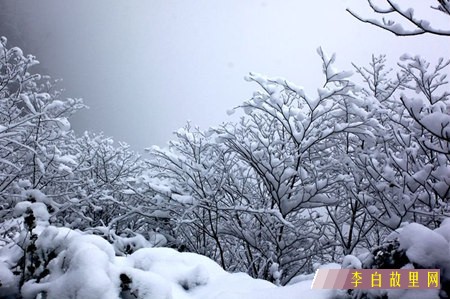 金光洞雪景.jpg